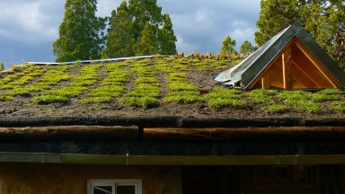 Techo vivo de la casa, recién plantado (marzo 2014)